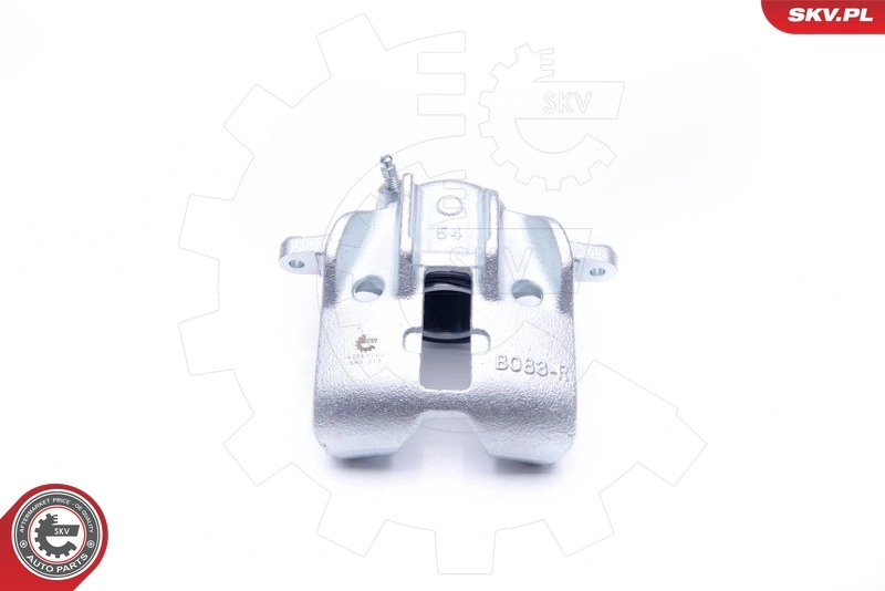Brake Caliper 42SKV762