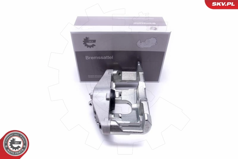 Brake Caliper 55SKV832