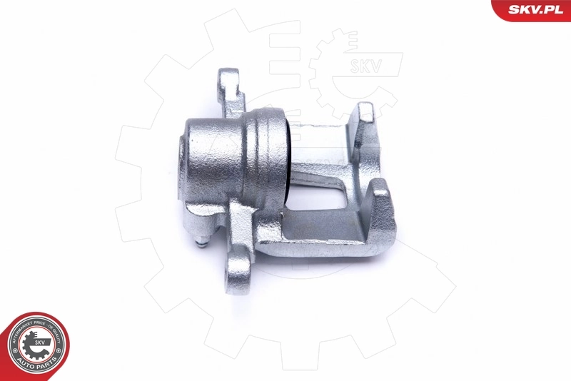 Brake Caliper 45SKV344