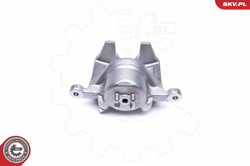 Brake Caliper 50SKV421