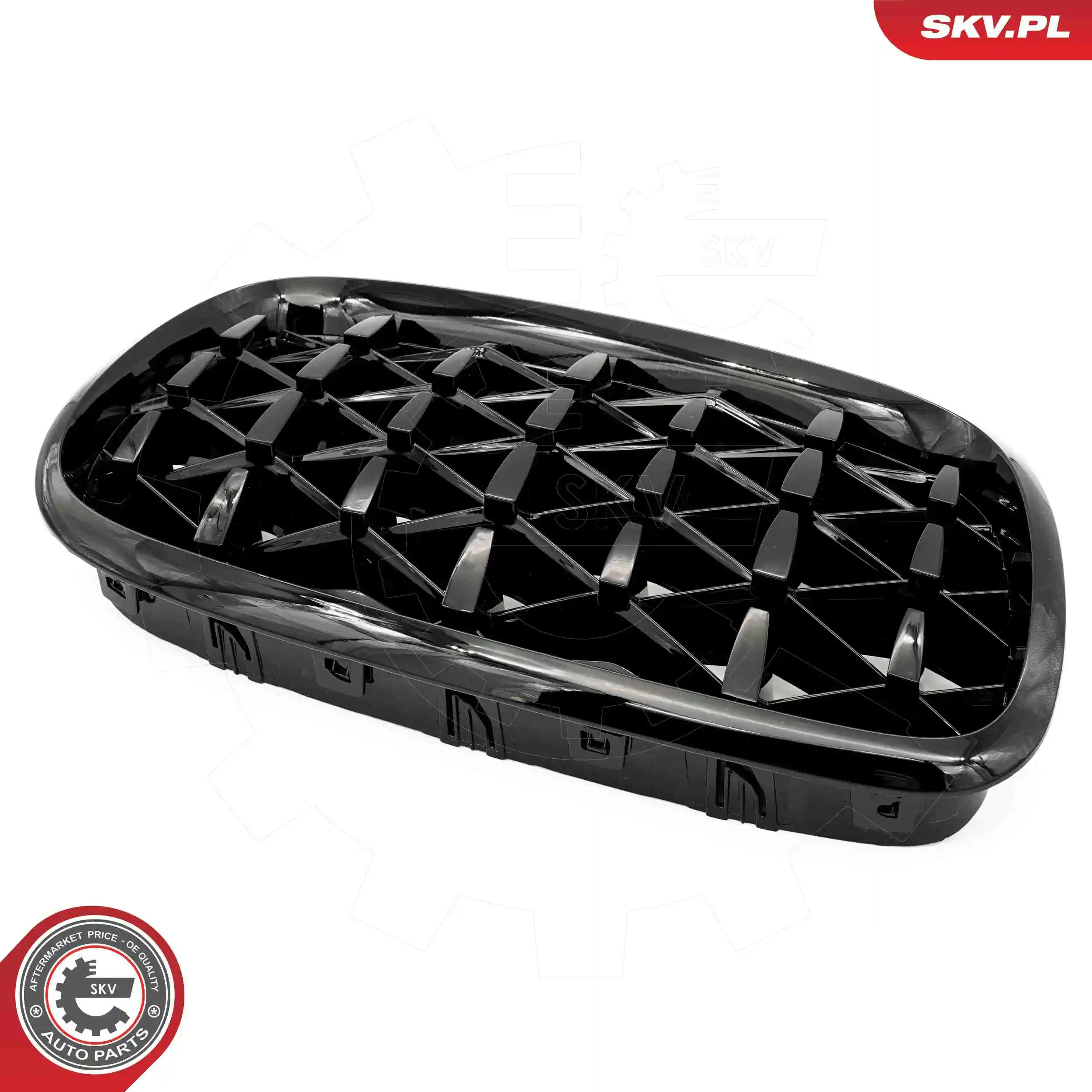 ESEN SKV 66SKV291 Radiator Grille