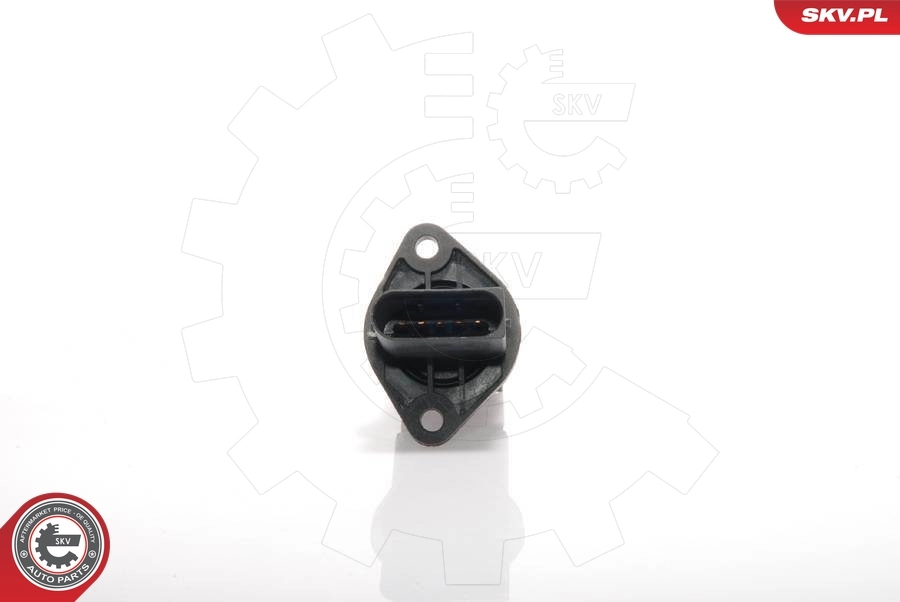 Mass Air Flow Sensor 07SKV139