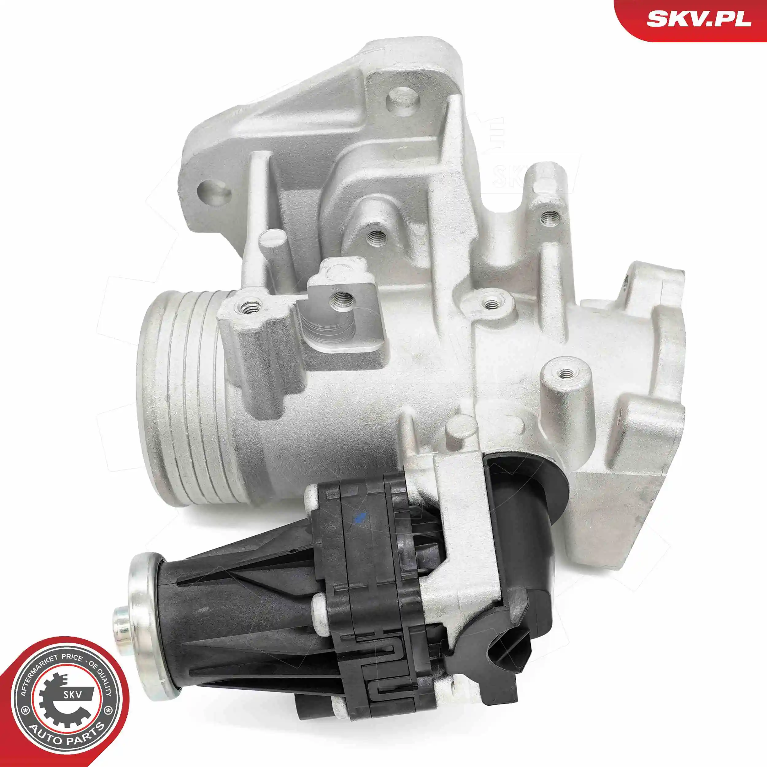 ESEN SKV 14SKV264 EGR Valve
