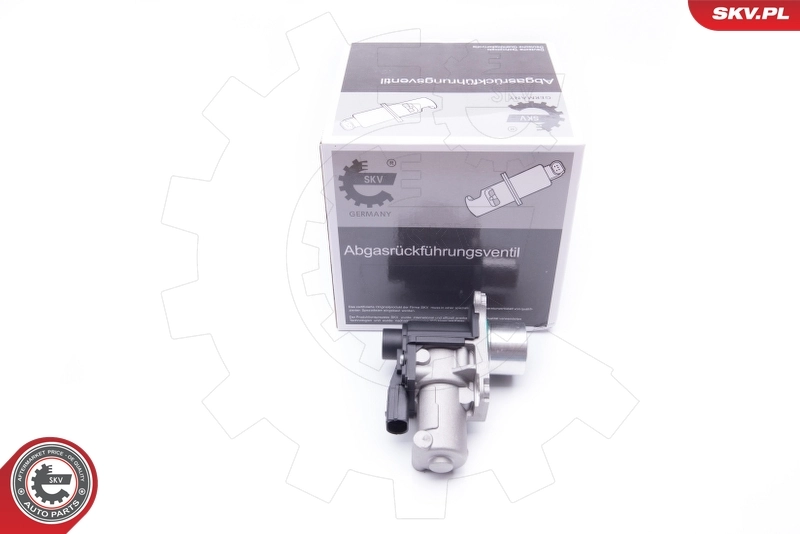 EGR Valve 14SKV170