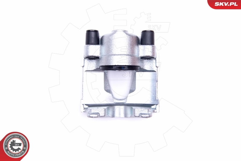Brake Caliper 42SKV682