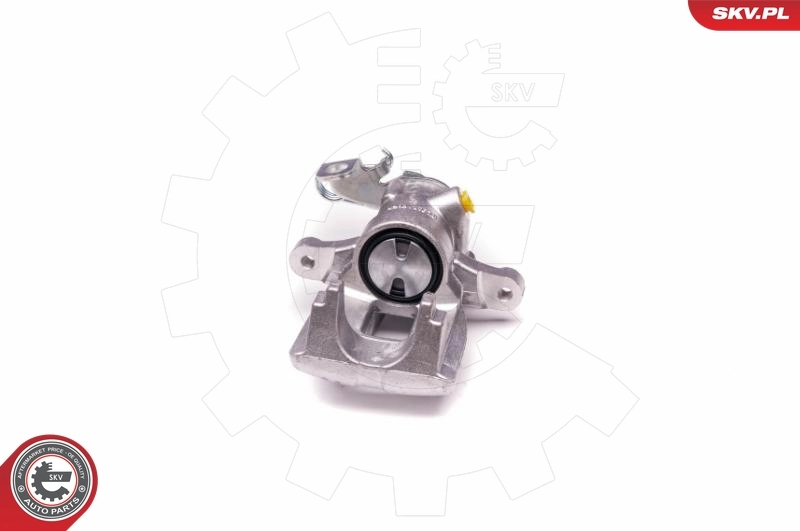 Brake Caliper 23SKV317