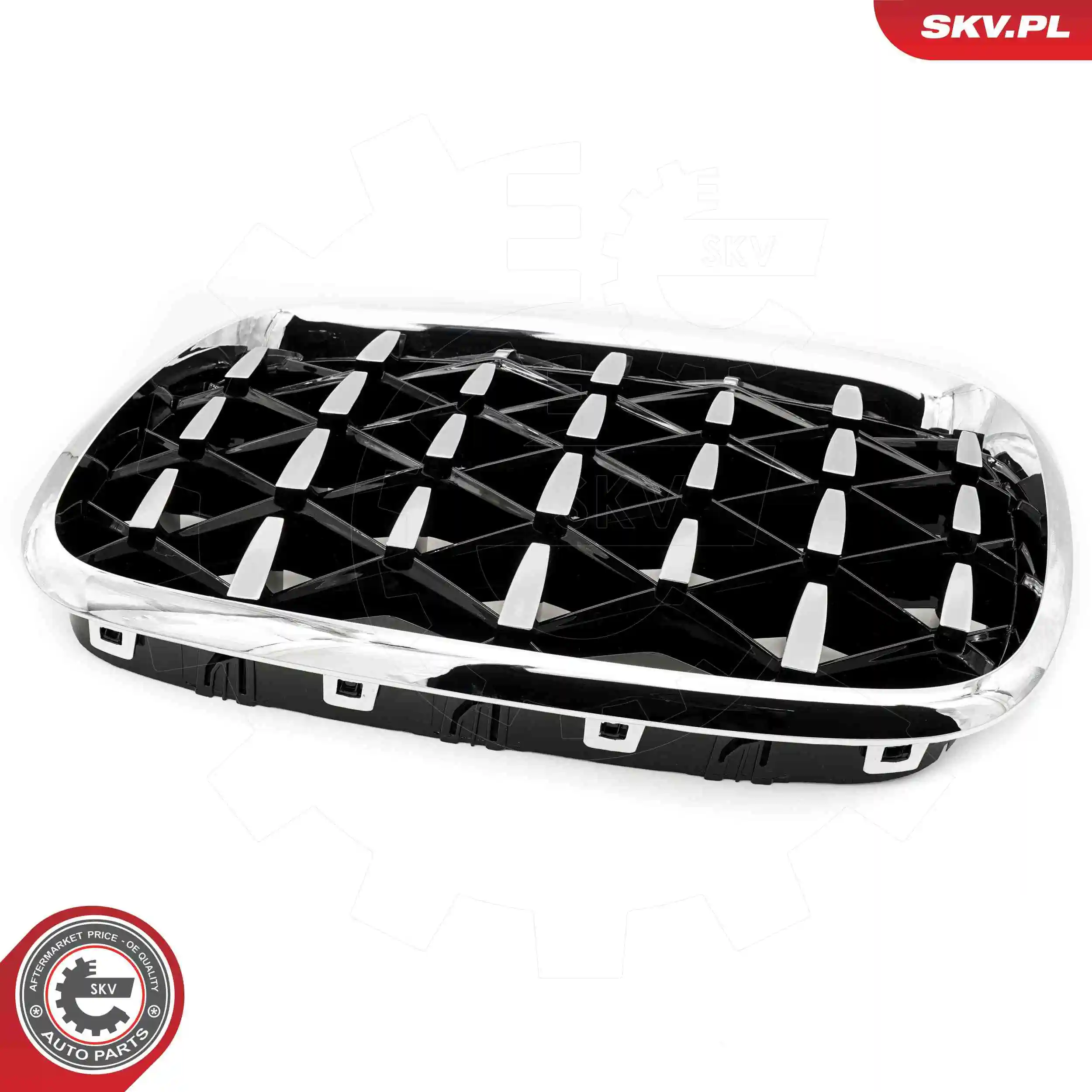 ESEN SKV 66SKV293 Radiator Grille