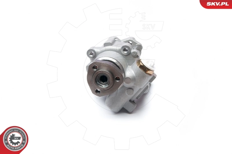 Hydraulic Pump, steering 10SKV230