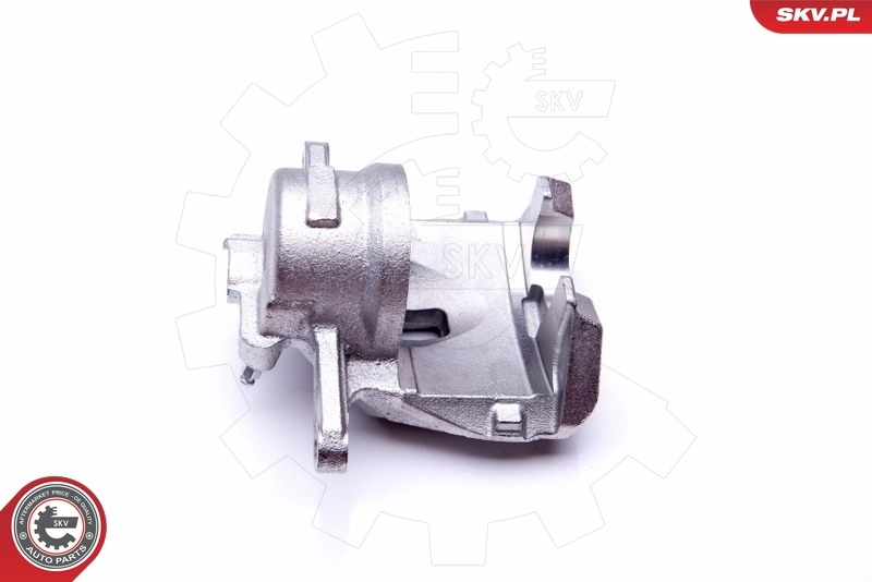 Brake Caliper 45SKV771