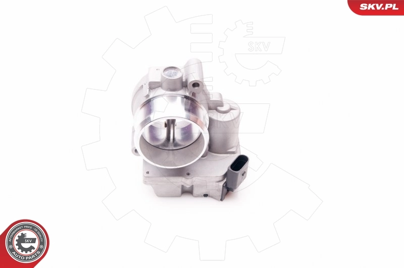 Throttle Body 12SKV057