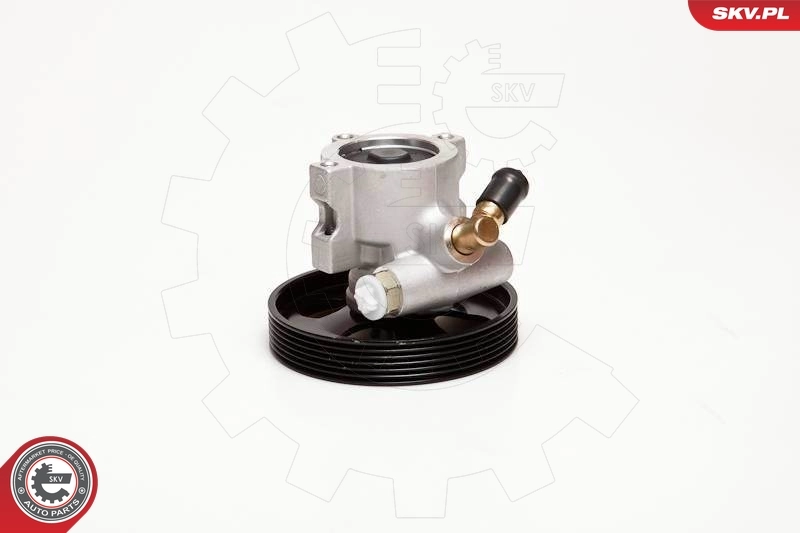 Hydraulic Pump, steering 10SKV086