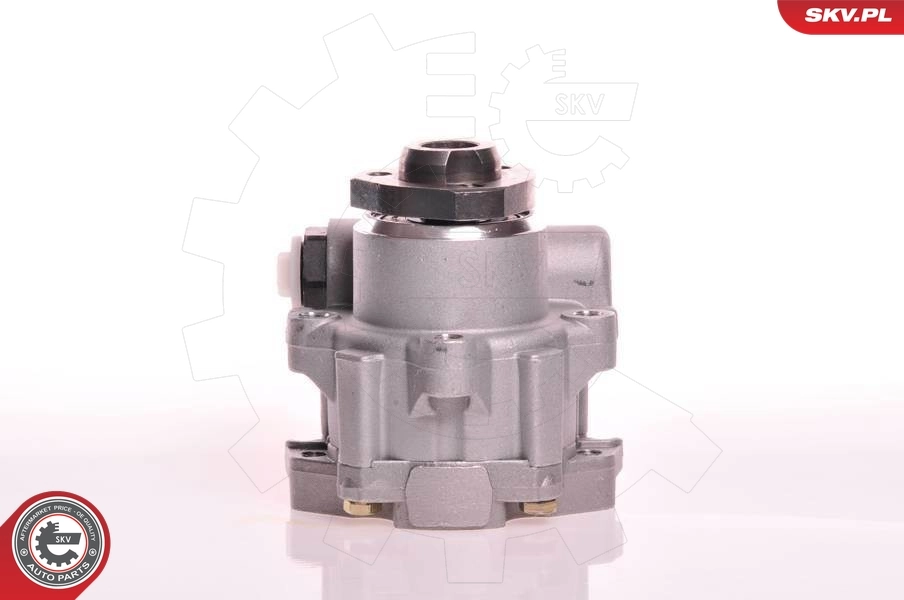 Hydraulic Pump, steering 10SKV105