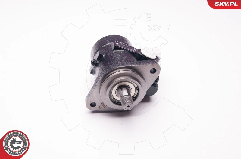 ESEN SKV 1SKV0013 Hydraulic Pump, steering