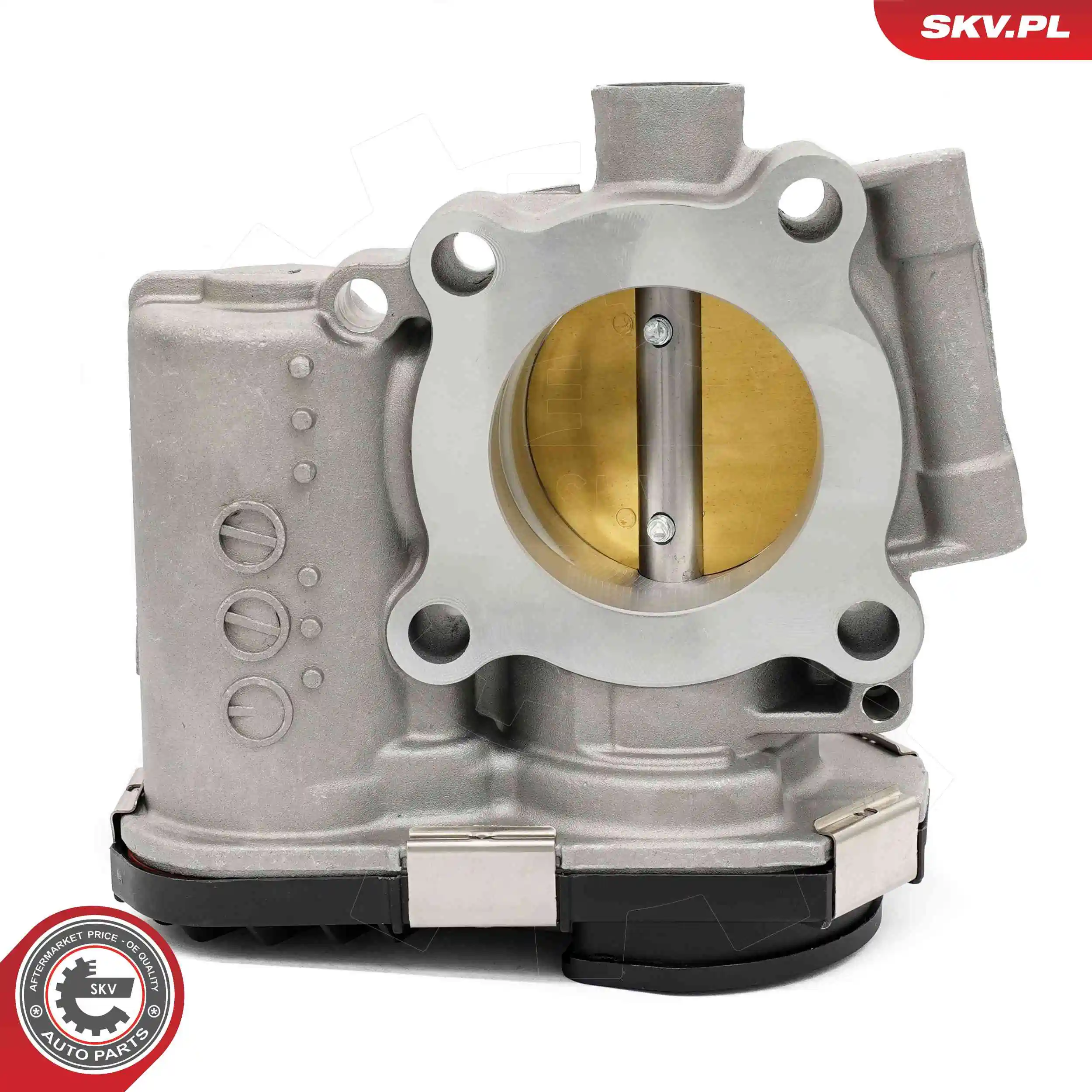 Throttle Body 12SKV135