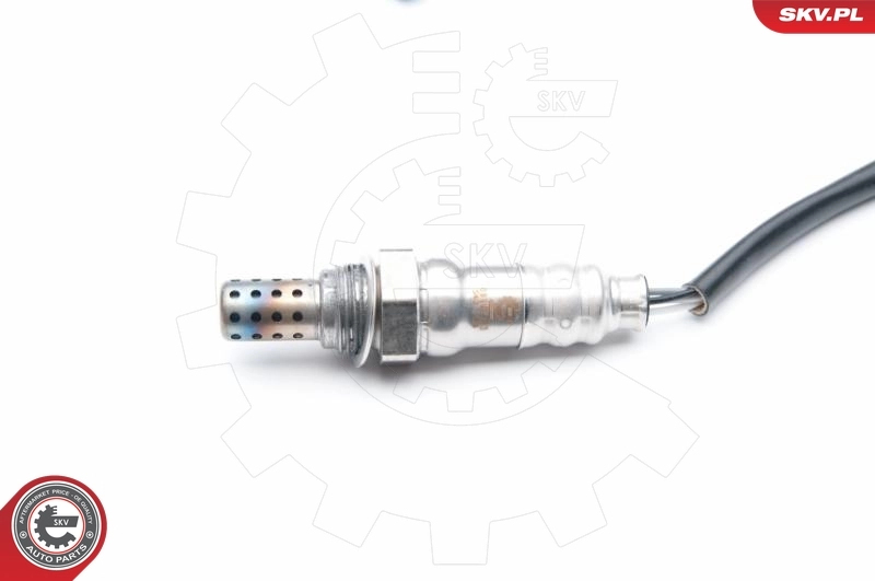Oxygen Sensor 09SKV703