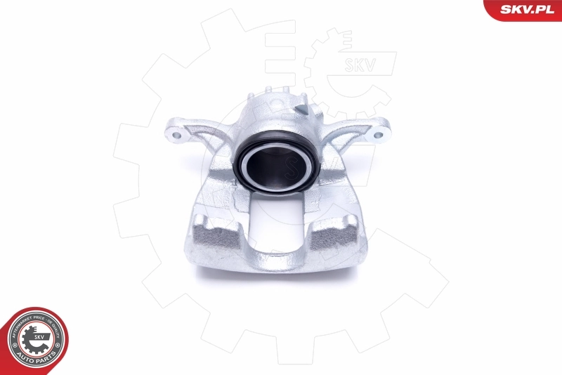 Brake Caliper 46SKV232