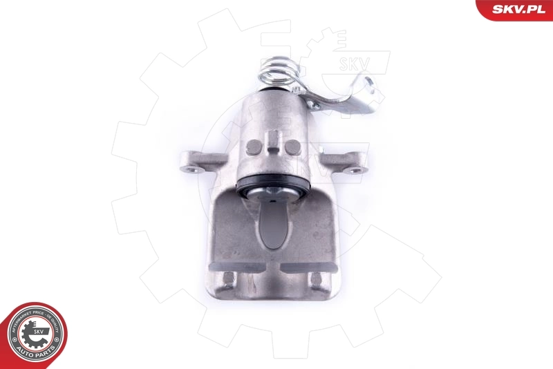 Brake Caliper 55SKV203