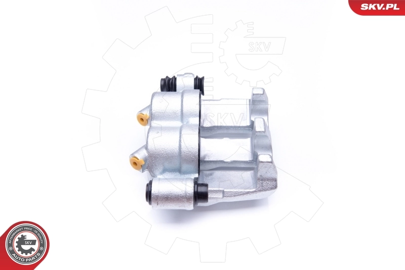 Brake Caliper 42SKV071