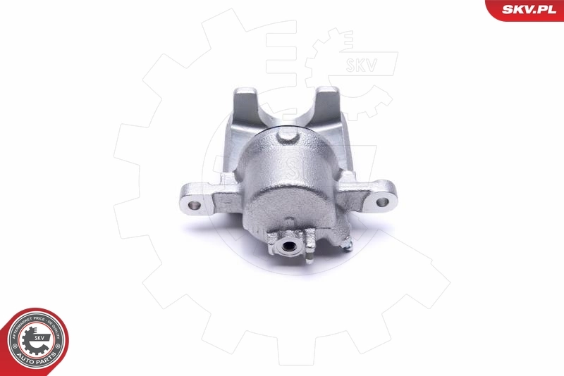Brake Caliper 56SKV011