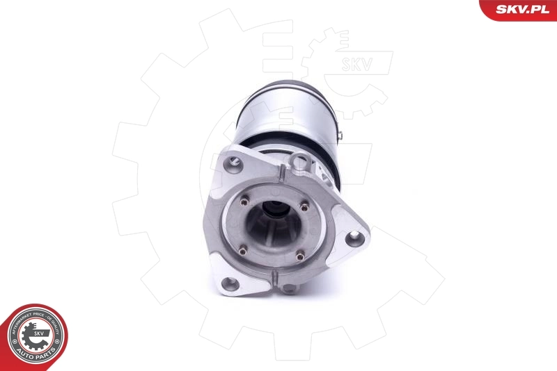 Air Suspension Strut 58SKV068