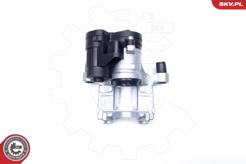 Brake Caliper 44SKV417