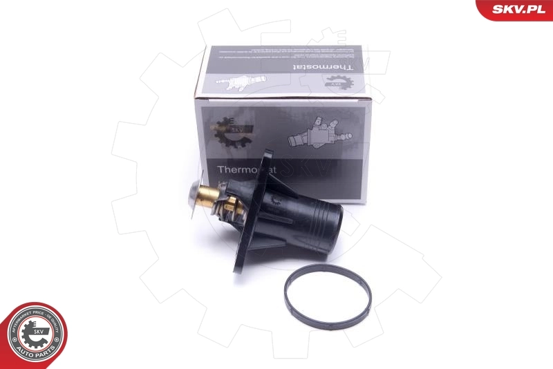 Thermostat, coolant 20SKV193