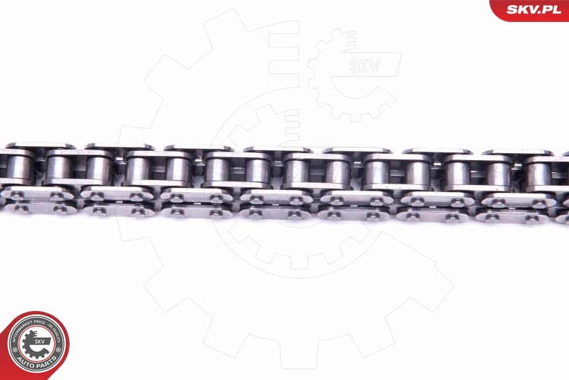 Timing Chain Kit 21SKV136