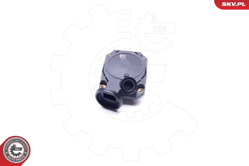 Valve, crankcase ventilation 31SKV074