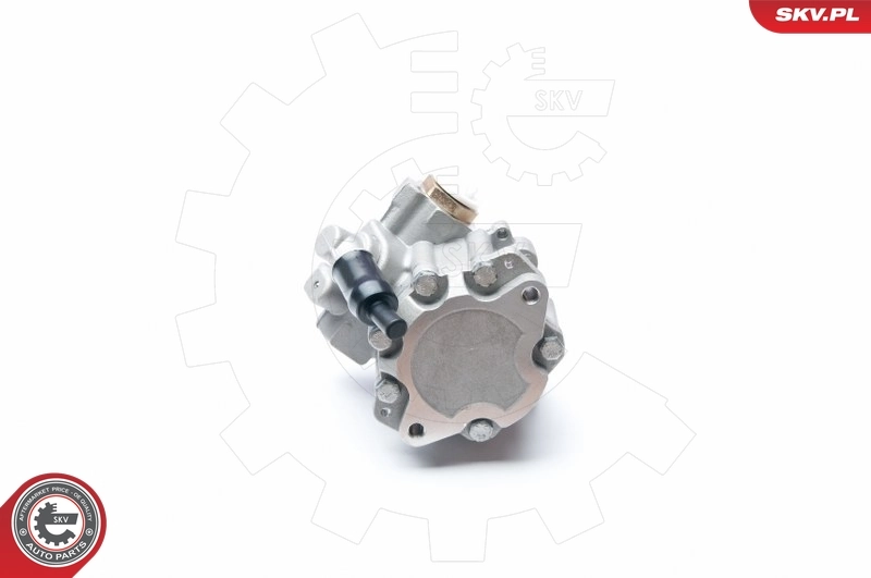 Hydraulic Pump, steering 10SKV217