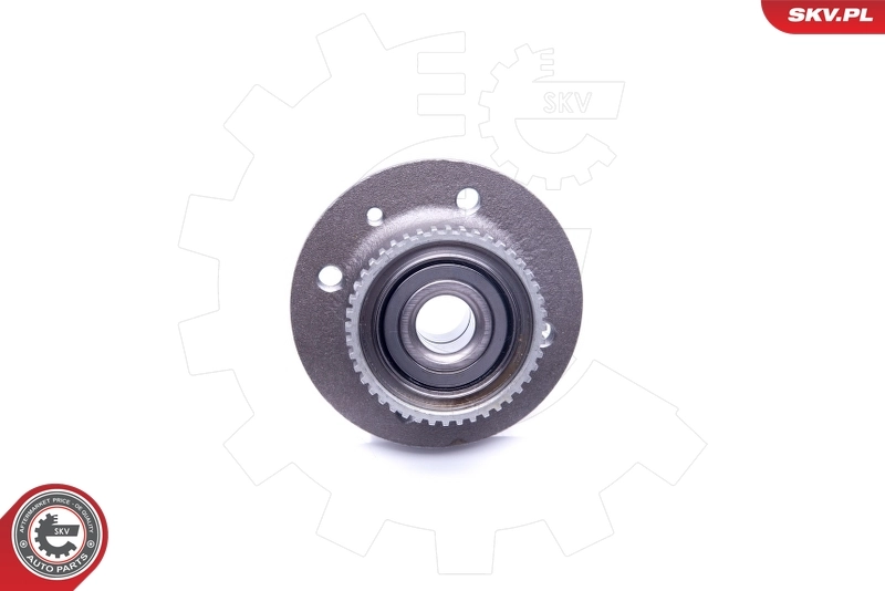 Wheel Bearing Kit 29SKV214