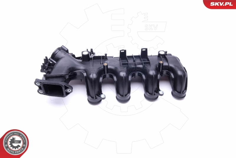 Intake Manifold Module 49SKV022