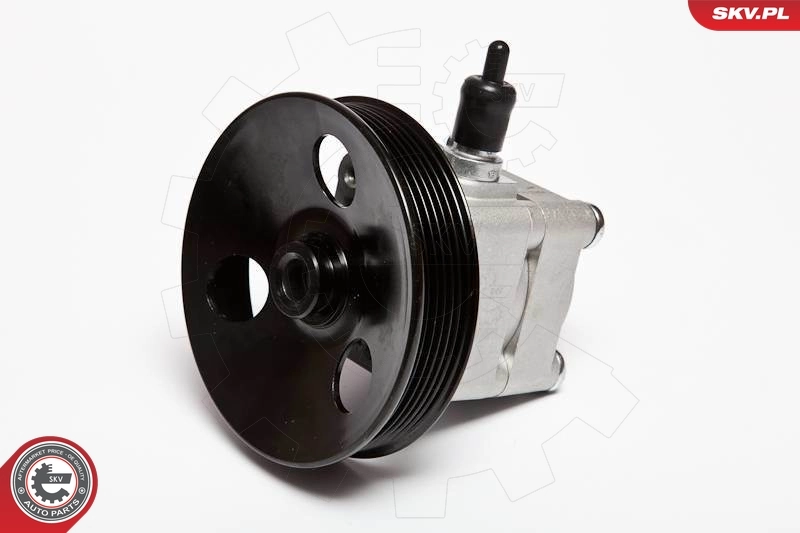 Hydraulic Pump, steering 10SKV033