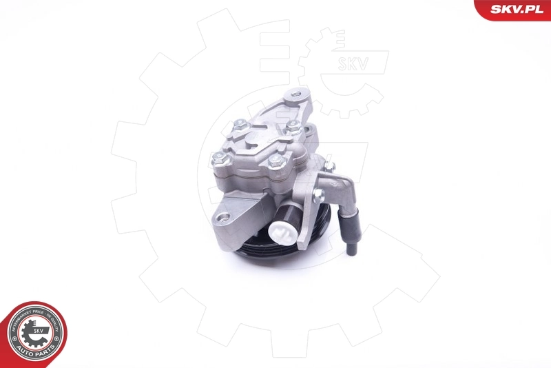 Hydraulic Pump, steering 10SKV262