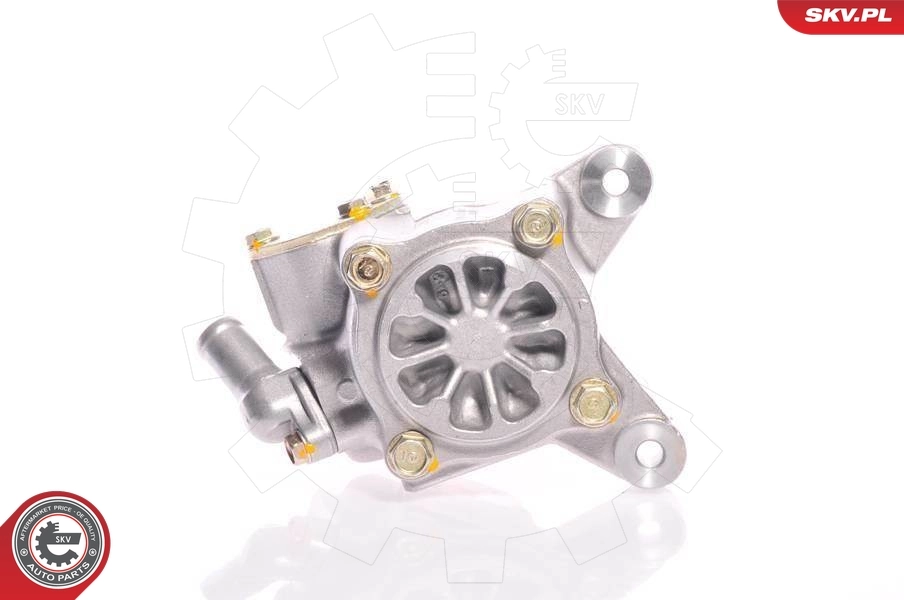 Hydraulic Pump, steering 10SKV026