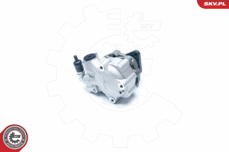 Hydraulic Pump, steering 10SKV186