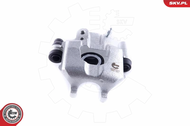 Brake Caliper 55SKV313