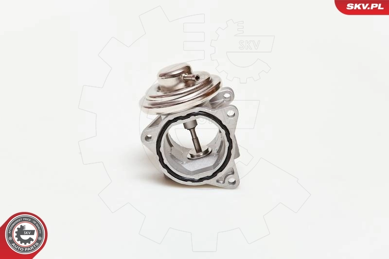 EGR Valve 14SKV019