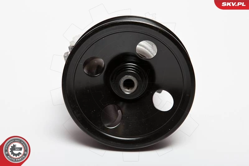 Hydraulic Pump, steering 10SKV063