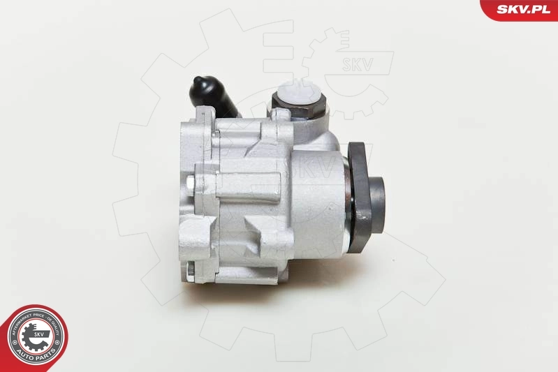 油圧ポンプ、ステアリング 10SKV049