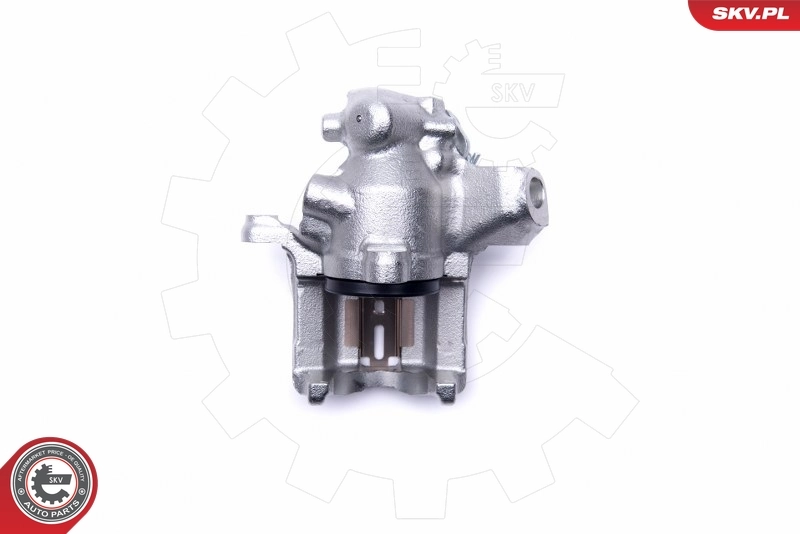 Brake Caliper 46SKV323