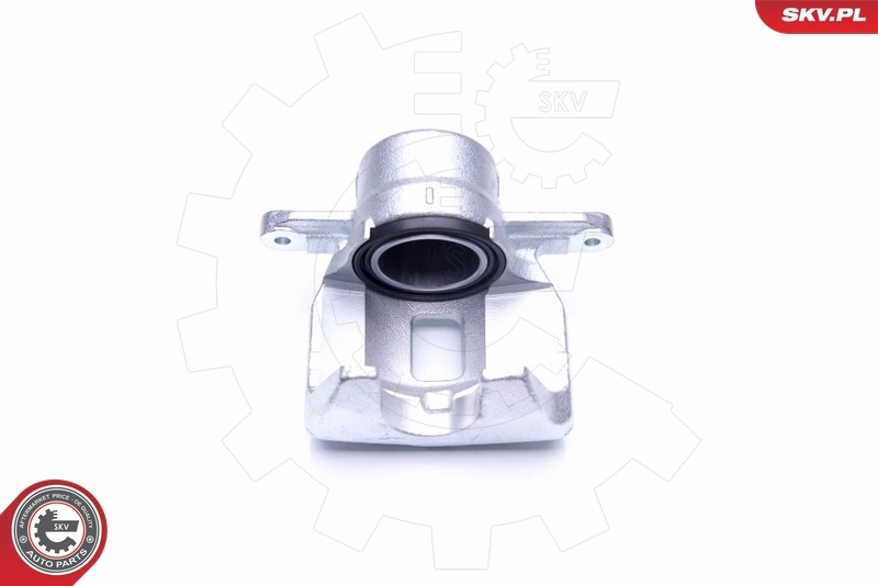 Brake Caliper 44SKV152