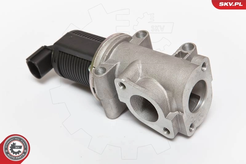 EGR Valve 14SKV055
