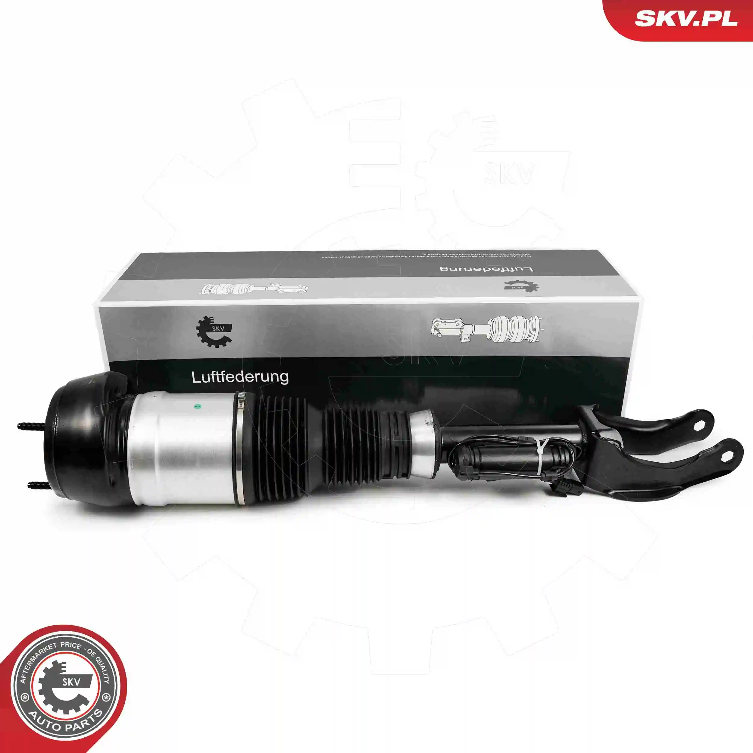 Air Suspension Strut 58SKV716