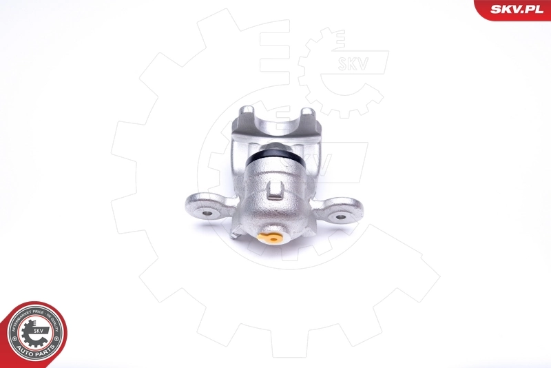 Brake Caliper 42SKV604