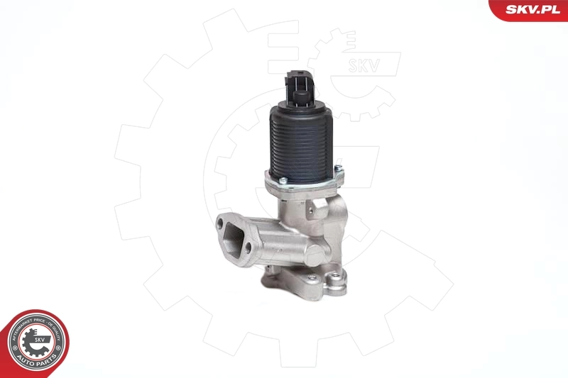 EGR Valve 14SKV040
