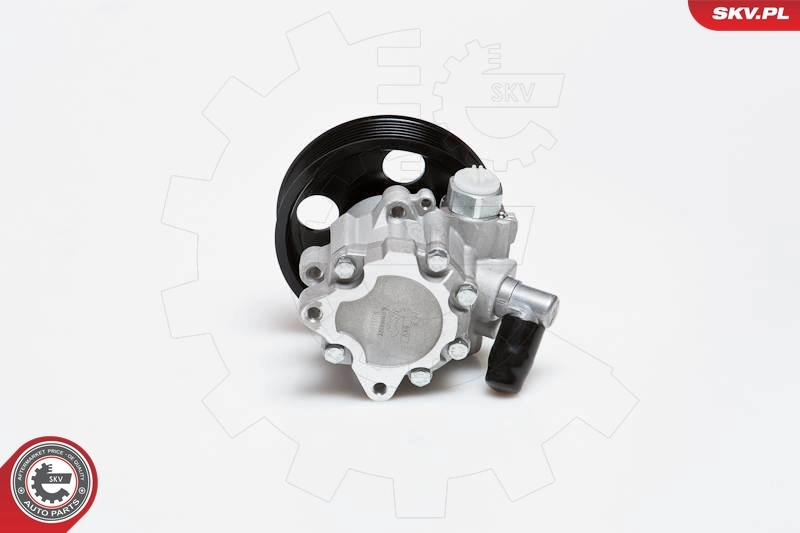 Hydraulic Pump, steering 10SKV024