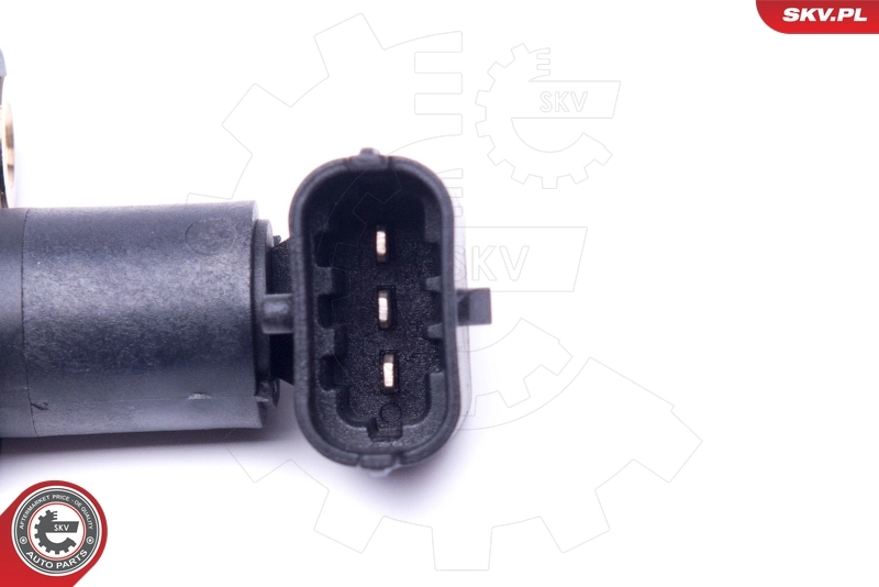 Sensor, camshaft position 17SKV498