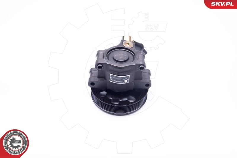 Hydraulic Pump, steering 10SKV260