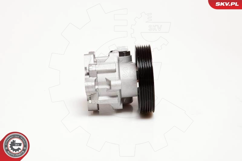 ESEN SKV 10SKV098 Hydraulic Pump, steering