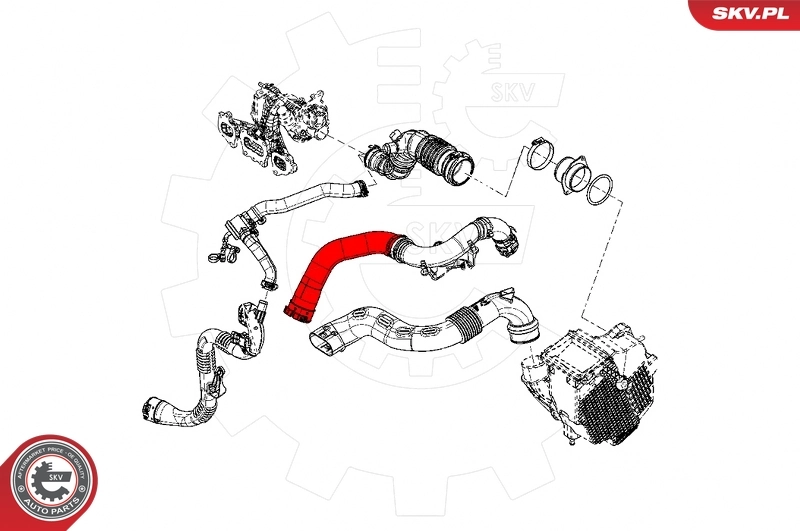 Charge Air Hose 43SKV147